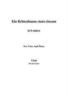 Ein Fichtenbaum steht einsam, S.309: B minor by Franz Liszt