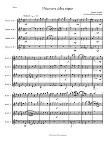Il bianco e dolce cigno: For 4 clarinets by Jakob Arcadelt
