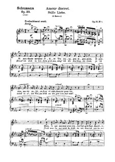 Nr.8 Stille Liebe: Für Stimme und Klavier by Robert Schumann