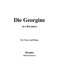 No.4 Die Georgine: E flat minor by Richard Strauss