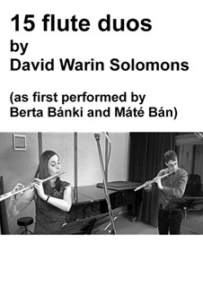 15 flute duos: 15 flute duos by David W Solomons
