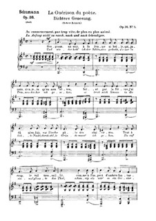 Sechs Gedichte, Op.36: Nr.5 Dichters Genesung by Robert Schumann