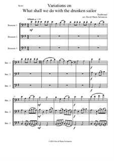 Variations on What shall we do with the drunken sailor: For bassoon trio by folklore