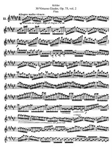 Dreissig virtuose Etüden für Flöte, Op.75: Buch II by Ernesto Köhler