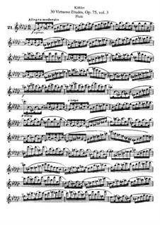 Dreissig virtuose Etüden für Flöte, Op.75: Buch III by Ernesto Köhler