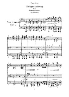 Schwanengesang. Kriegers Ahnung. Transkription von einem Thema von Schubert, S.560 No.2: Schwanengesang. Kriegers Ahnung. Transkription von einem Thema von Schubert by Franz Liszt