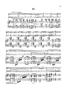 Klaviertrio Nr.4, Op.120: Teil III by Hans Huber