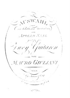 Auswahl für zwei Gitarren: Auswahl für zwei Gitarren by Mauro Giuliani