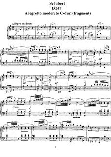 Allegro Moderato für Klavier in C-Dur (Fragment), D.347: Für einen Interpreten by Franz Schubert