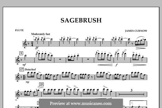 Sagebrush (Concert Band): Flötenstimme by James Curnow