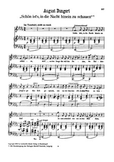 Schön ist's, in die Nacht hinein zu schauen, Op.56 No.5: Schön ist's, in die Nacht hinein zu schauen by August Bungert