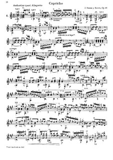 Capricho, Op.48: Für Gitarre by José Ferrer