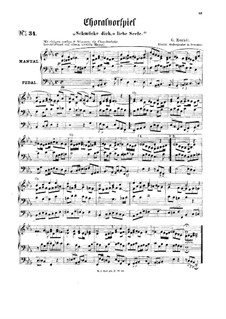 Ritter-Album für Orgel. Heft II: Ritter-Album für Orgel. Heft II by Hermann Ferdinand Albert Wilhelm Wehe, Wilhelm Valentin Volckmar, Reinhold Succo, Gustav Rebling, Benjamin Robert Papperitz, Gustav Adolf Merkel, Heinrich Finck
