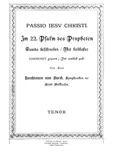 Passio Jesu Christi: Passio Jesu Christi by Joachim a Burck