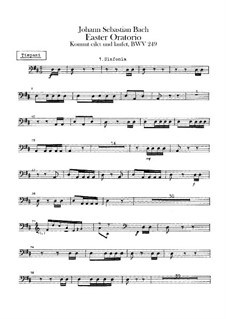 Oster-Oratorium, BWV 249: Paukenstimme by Johann Sebastian Bach