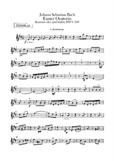 Oster-Oratorium, BWV 249: Violinstimme II by Johann Sebastian Bach