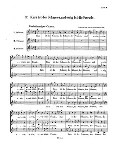 Kurz ist der Schmerz, WoO 163: Singpartitur by Ludwig van Beethoven