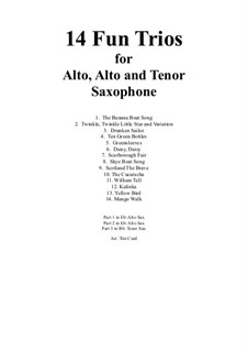 14 Fun Trios: For alto, alto and tenor saxophone by folklore