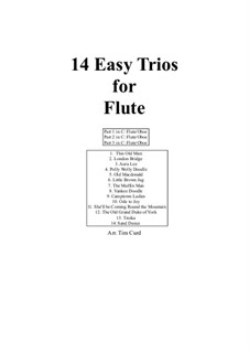 14 Easy Trios: Für Flöte by folklore