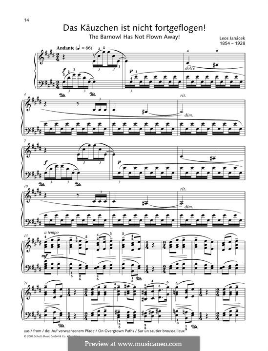 The Barnowl has not Flown Away!: The Barnowl has not Flown Away! by Leoš Janáček