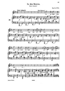 Romanzen und Lieder, Op.84: Nr.3 In den Beeren by Johannes Brahms