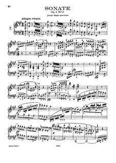 Sonate Nr.2: Für einen Interpreten by Ludwig van Beethoven