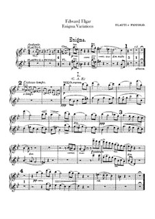 Vollständiger Satz: Flötenstimmen by Edward Elgar