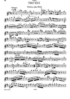 Klaviertrio Nr.28 in D-Dur, Hob.XV/16: Violin- oder Flötenstimme by Joseph Haydn