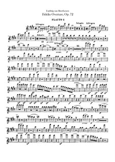 Ouvertüre: Flötenstimmen I, II by Ludwig van Beethoven