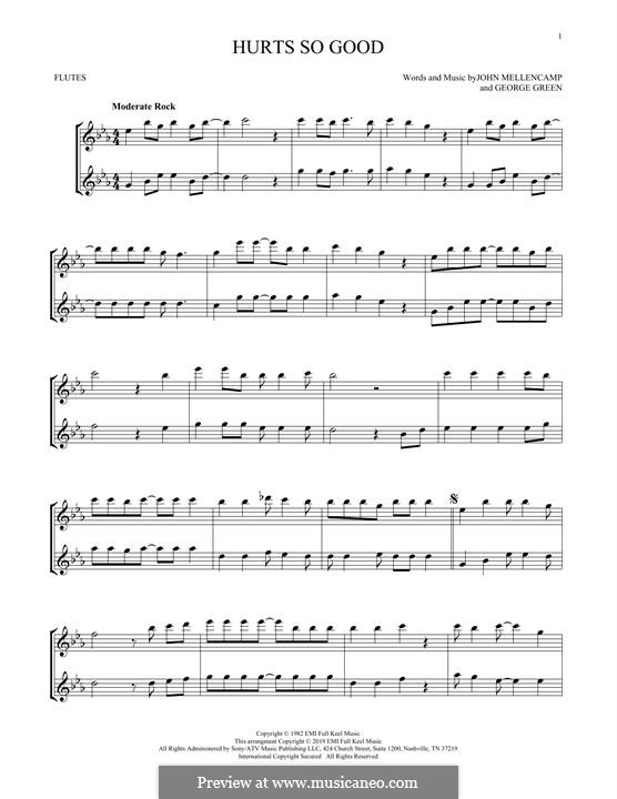 Hurts So Good (John Cougar Mellencamp): Für zwei Flöten by George M. Green