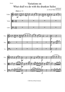 Variations on What shall we do with the drunken sailor: Für Streichtrio by folklore