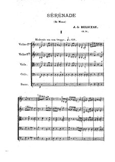 Serenade für Streicher in d-Moll, Op.36: Serenade für Streicher in d-Moll by Gyula Beliczay