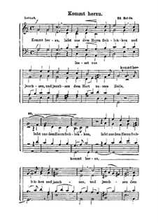 Kommt herzu: Singpartitur by Eduard Rohde