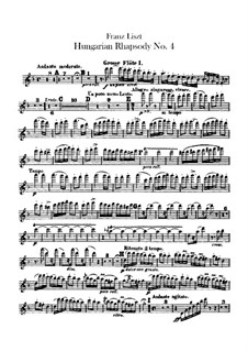 Nr.12 in cis-Moll, für Orchester, S.359/4: Flötenstimme by Franz Liszt