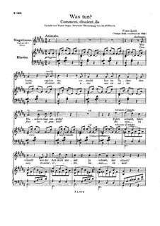 Wie entgehn der Gefahr, S.276: Klavierauszug mit Singstimmen by Franz Liszt