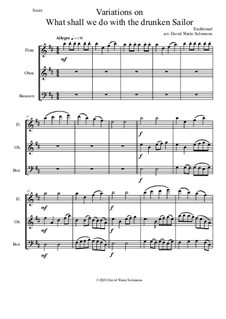 Variations on What shall we do with the drunken sailor: For wind trio (flute, oboe, bassoon) by folklore