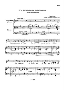 Ein Fichtenbaum steht einsam, S.309: Zweite Fassung by Franz Liszt