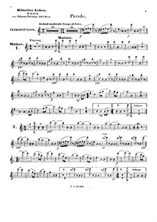 Künstlerleben, Op.316: Piccoloflötenstimme by Johann Strauss (Sohn)