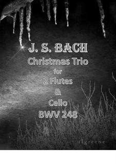 Nr.4 Bereite dich, Zion: For Flute Duo & Cello by Johann Sebastian Bach