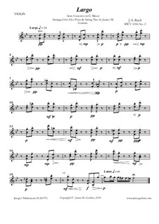 Teil II: For Alto Flute & String Trio by Johann Sebastian Bach