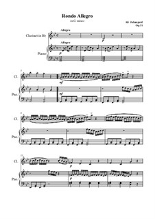 Rondo Allegro in G minor, Op.31: Rondo Allegro in G minor by Ali Jahangard