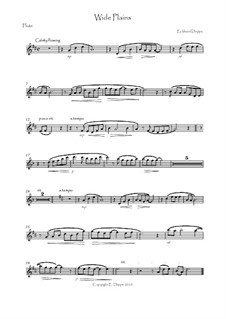 10 Pieces for Flute and Piano: Solostimme by Eckhard Deppe