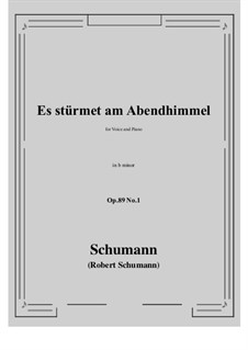 Sechs Gesänge, Op.89: No.1 Es stürmet am Abendhimmel (b minor) by Robert Schumann