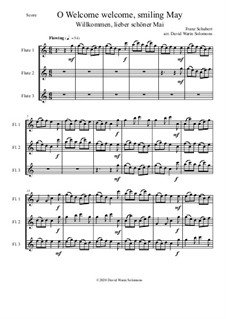 Eight Classical and Traditional Canons: For 3 flutes by Franz Schubert, Henry Purcell, Giovanni Battista Martini, folklore