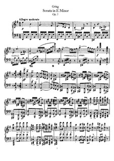 Sonate für Klavier in e-Moll, Op.7: Für einen Interpreten by Edvard Grieg