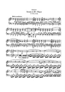 Sonate für Klavier Nr.21 in B-Dur, D.960: Für einen Interpreten by Franz Schubert