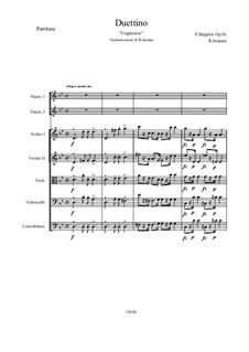 Duettino 'Ungherese' - Per 2 Flauti e Pianoforte, Op.36: Duettino 'Ungherese' - Per 2 Flauti e Pianoforte by Franz Doppler