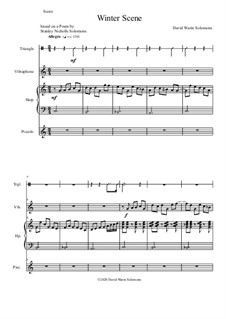 Winter Scene: For piccolo, harp (or 2 harps), vibraphone and triangle by David W Solomons