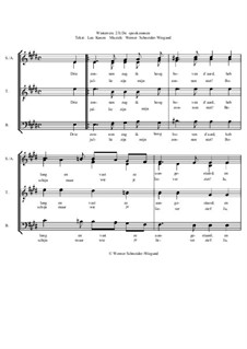 Winterreise, Nr.73-105, Op.23: Nr.88 De spookzonnen by Werner Schneider-Wiegand