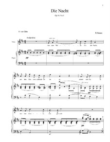 No.2 Nichts: Für Stimme und Klavier by Richard Strauss